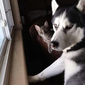 Meet your Posher, Stazia